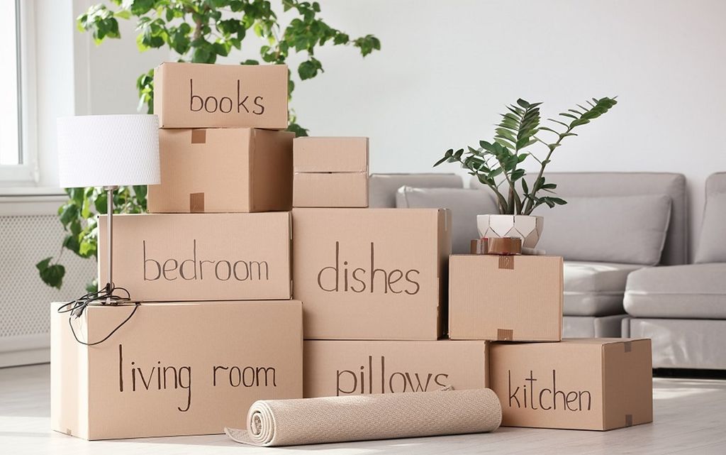 Organized and packed items before a big move