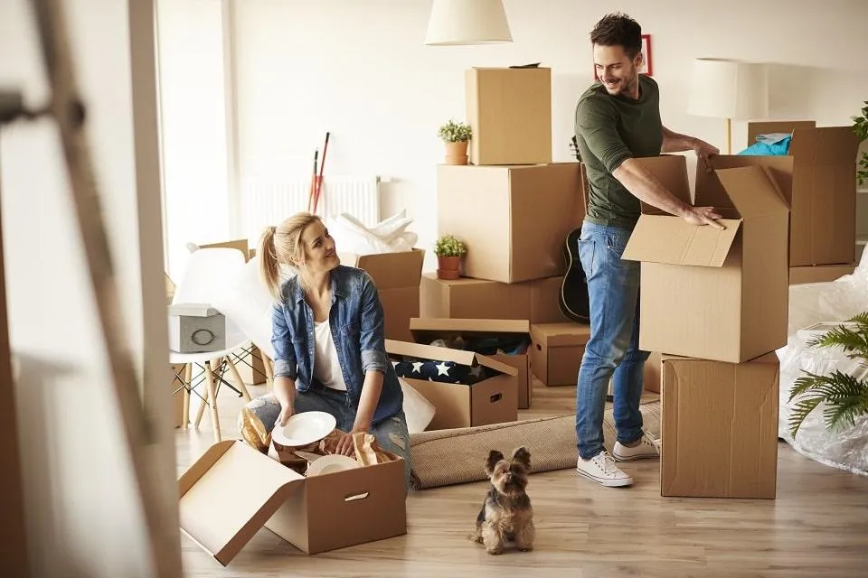 How to moving with pets.