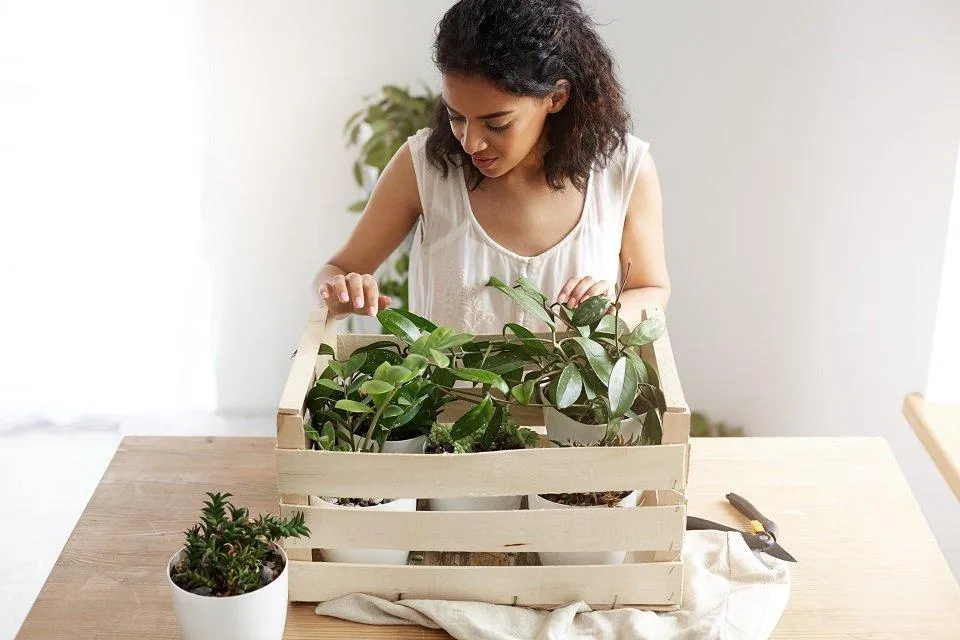 Moving Plants Yourself.