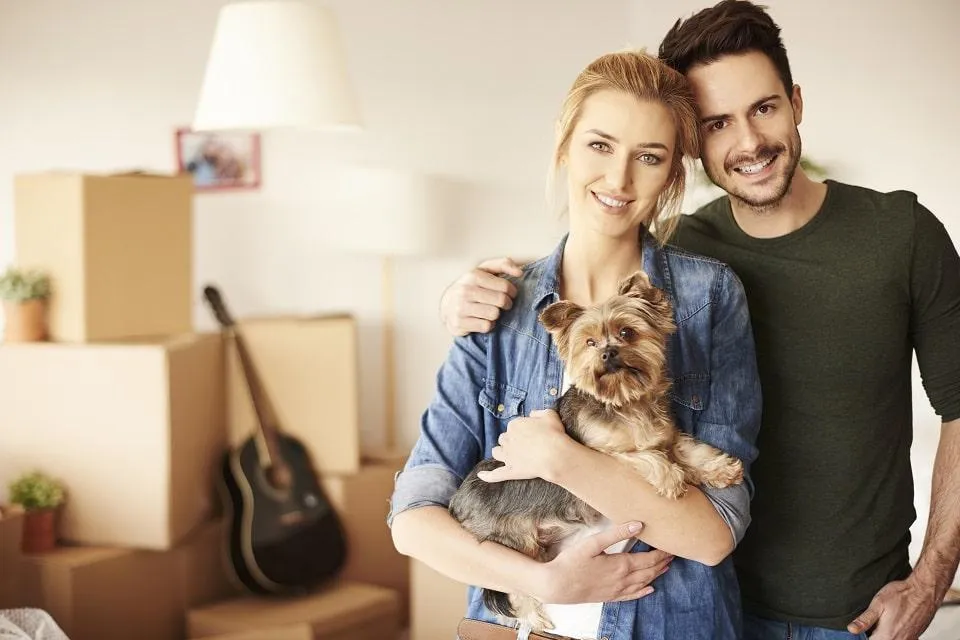 Moving with pets.