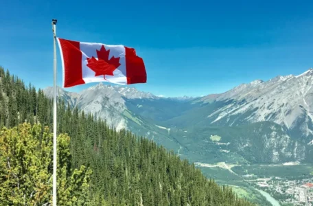 How to Properly Prepare for a Move to a Mountain Region